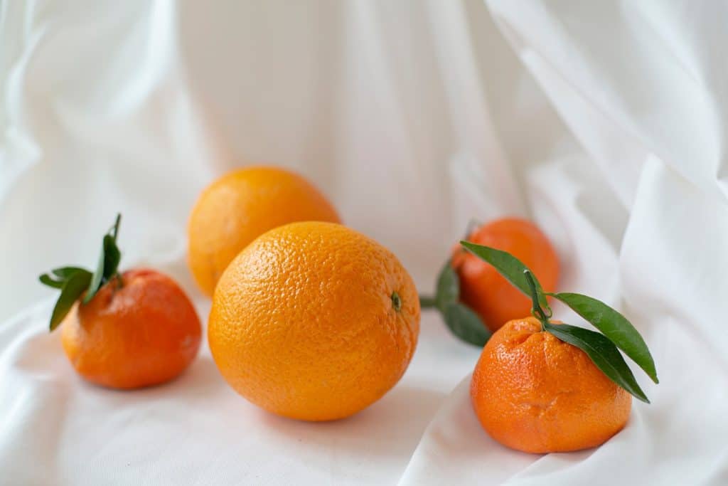 ¿las cacatúas pueden comer naranjas?