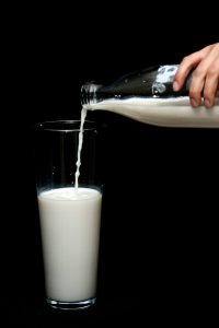calopsitas podem tomar leite