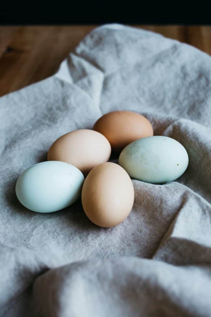 कॉकटेल कितनी बार अंडे देते हैं