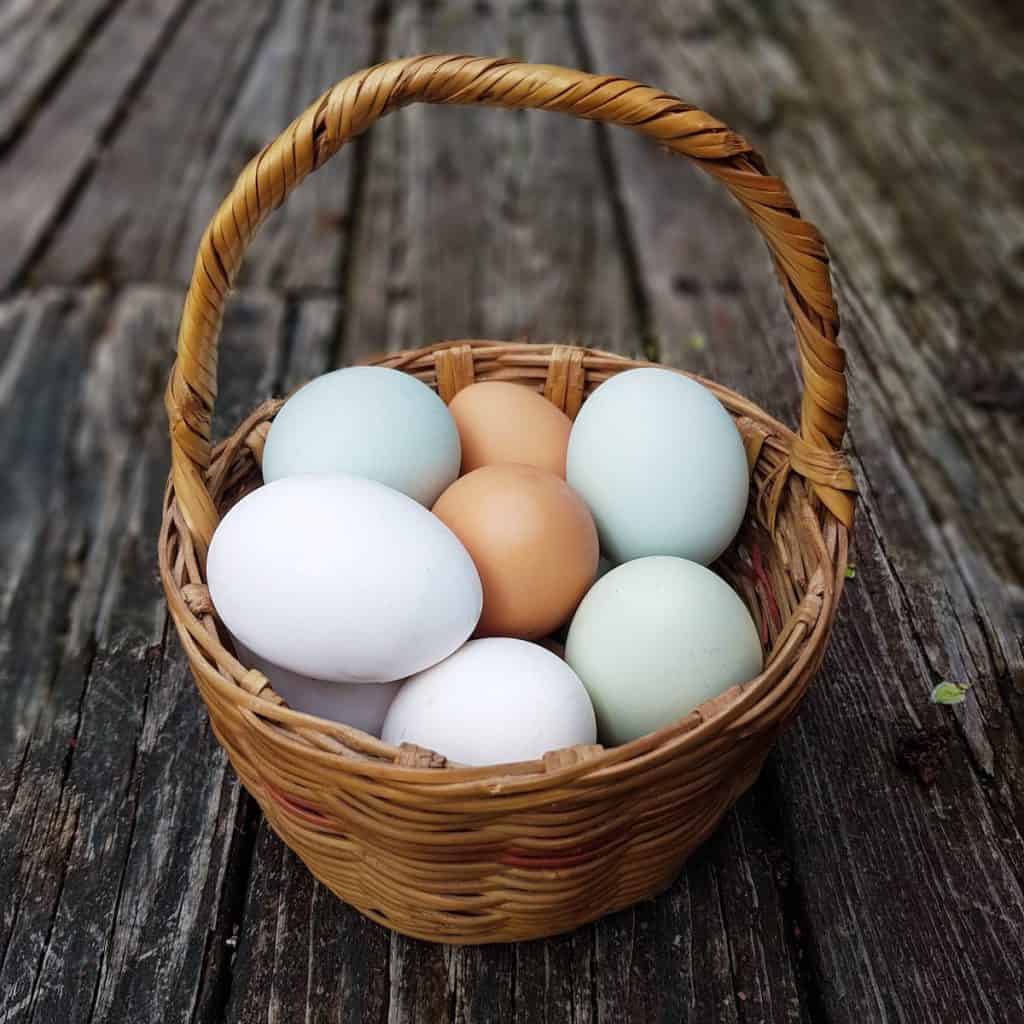 क्या कॉकटेल अंडे खा सकते हैं