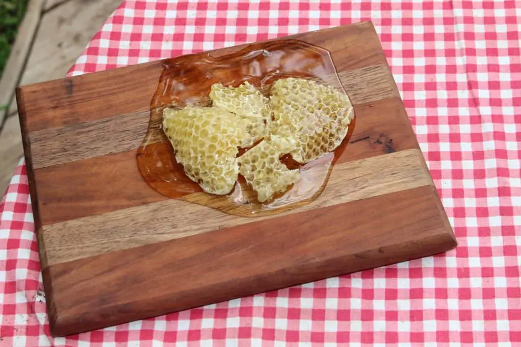 ¿las cacatúas pueden comer miel?