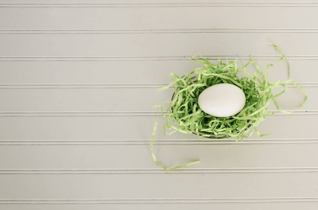 ¿Con qué frecuencia ponen huevos las cacatúas?