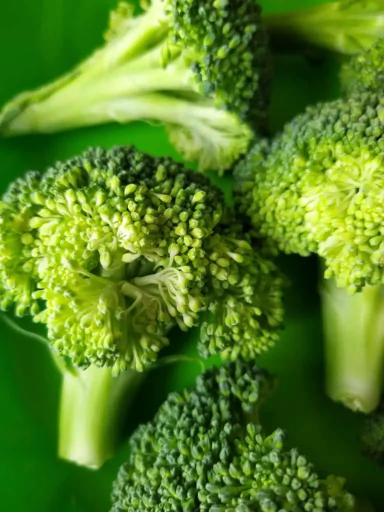 Can cockatiels eat broccoli