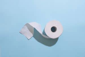 Are toilet paper rolls safe for birds