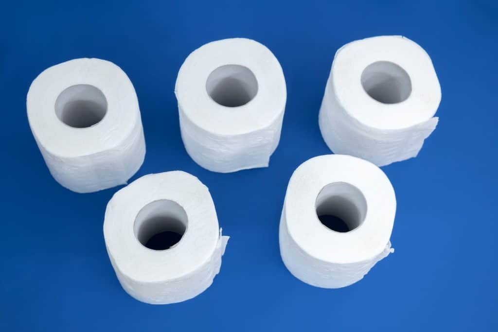 Are toilet paper rolls safe for birds