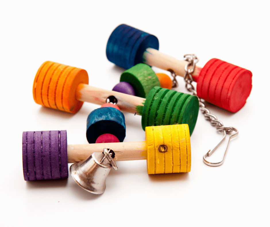 How to Keep a Cockatiel Warm 10 Tips and Tricks Dr Cockatiel