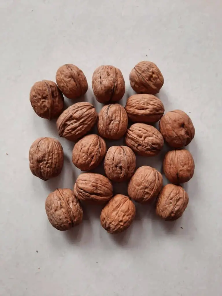 Can cockatiels eat walnuts