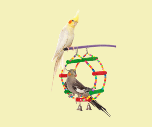 what toys do cockatiels like