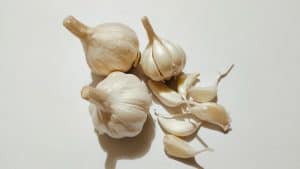 can cockatiels eat garlic