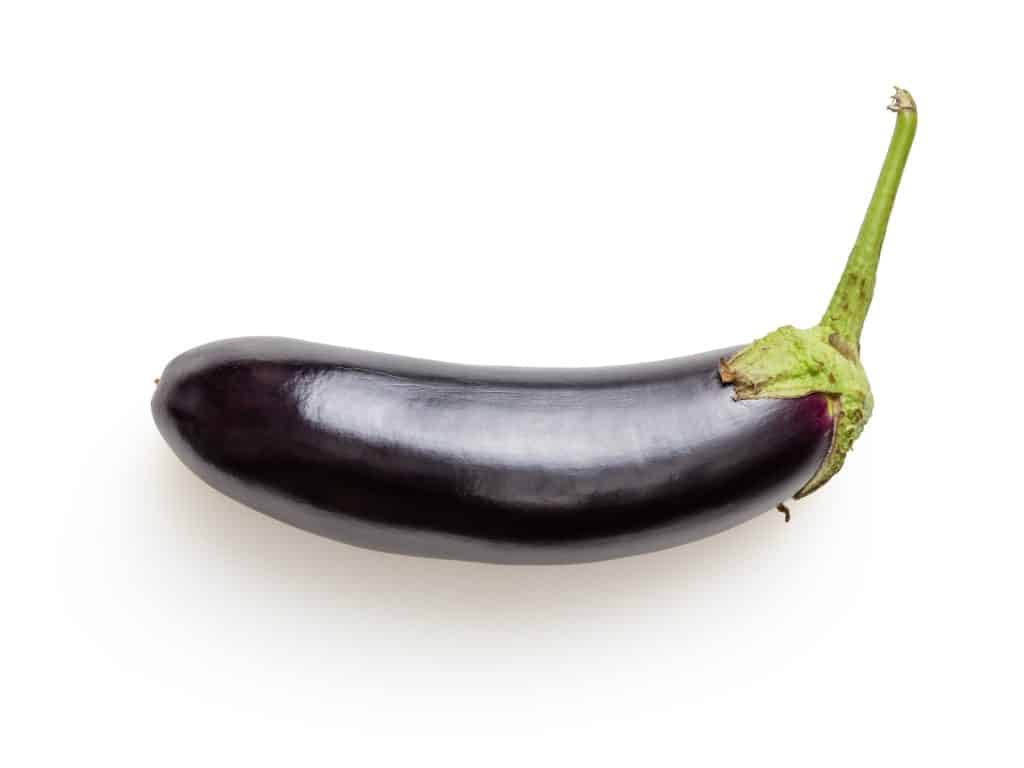 Can Cockatiels Eat Eggplant