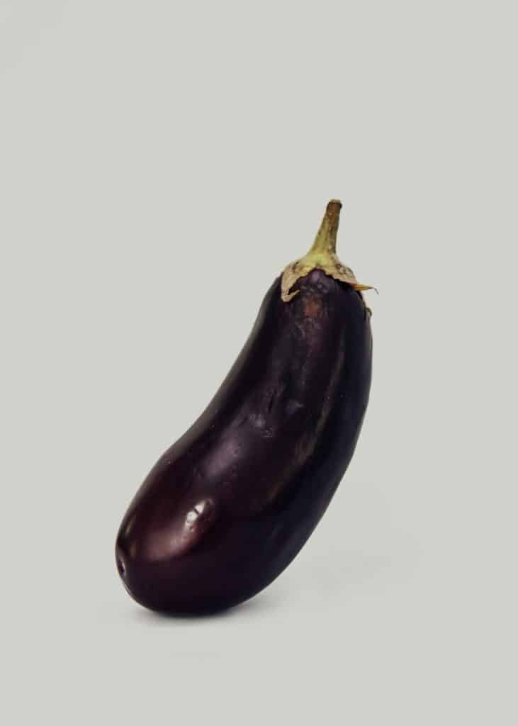 Can Cockatiels Eat Eggplant