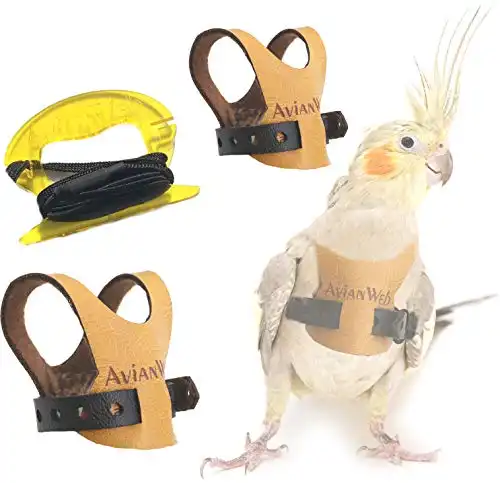 Avianweb EZ Bird Harness with 6 Ft Leash (Cockatiels)