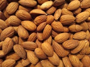 can cockatiels eat almonds