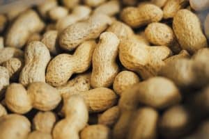 Can Cockatiels Eat Peanuts