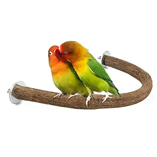 RYPET Parrot Bird Natural Wood Stand Perch Swing, U Shape
