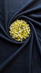 beansprouts on top of a black cloth