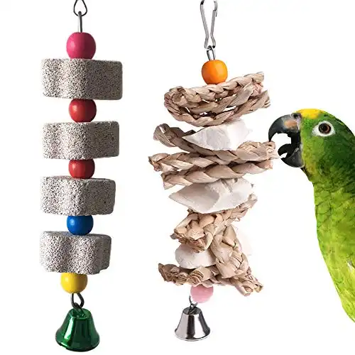 PINVNBY Parrot Toys Chewing Bird Toy Cuttlebone Beak Grinding Stone Cage Hanging Toys with Bell for African Greys Amazon Conure Eclectus Budgies Parakeet Cockatiel Hamster Chinchilla Rabbit, 2 Pack