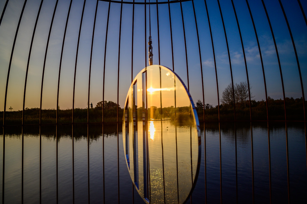 Best mirrors for birds in a cage