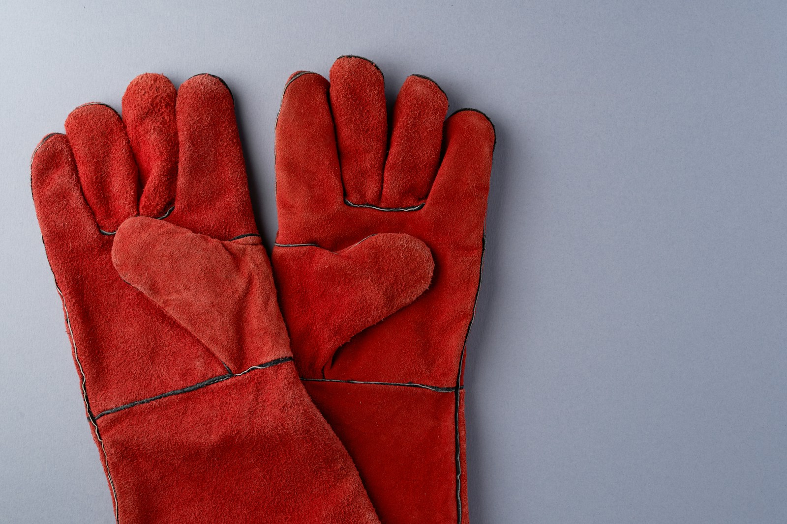 Best Cockatiel taming gloves
