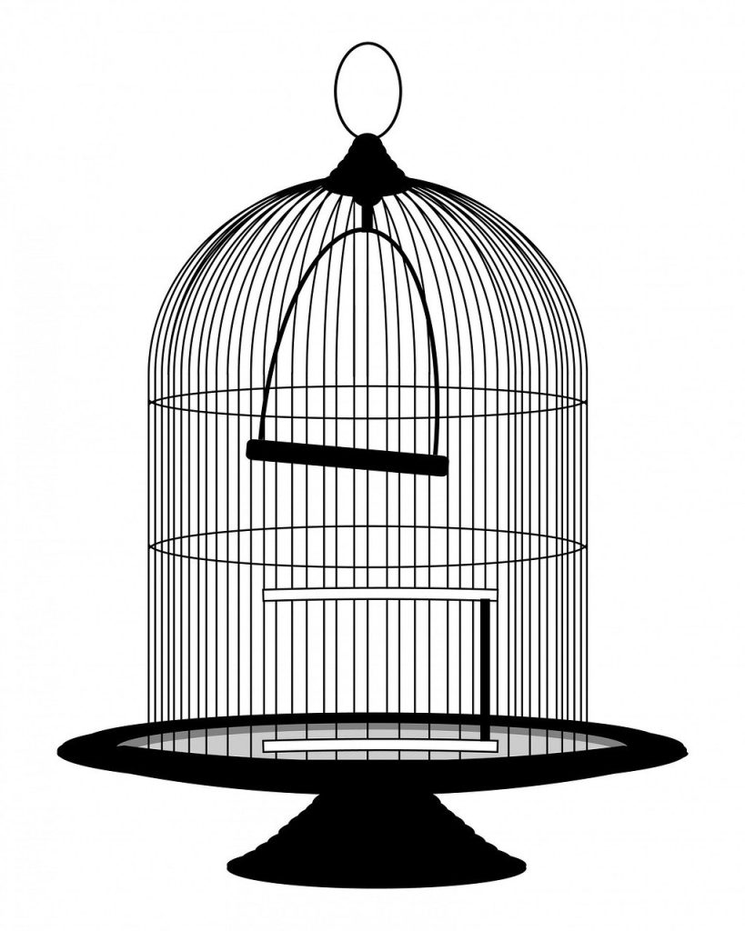 Cockatiel Cage